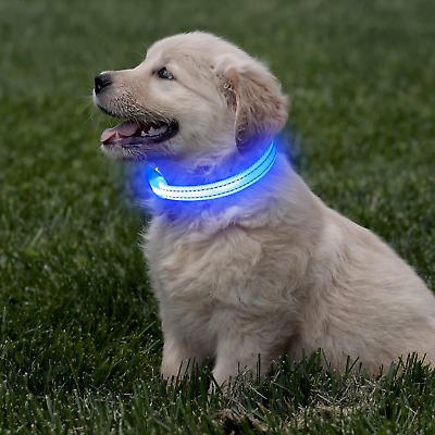 #ad Light up Dog Collars for Small Dogs USB Rechargeable Puppy LED Dog Collar Glow $13.74