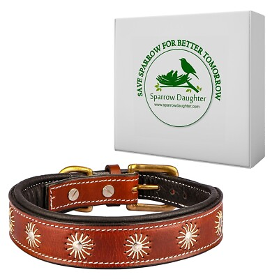 Leather Dog Collar Soft Padded Heavy Duty fits to Extra Small to Extra Large Dog $34.00