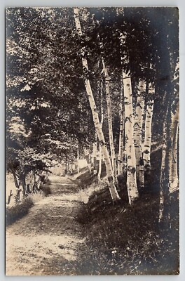 #ad Chester VT Lovely Path Within The Birch Trees RPPC Vermont Postcard Y30 $12.95