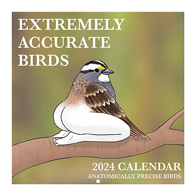 #ad 2024 Calendar of Extremely Accurate Birds Wall Calendar Bird Animal Calendar $15.55