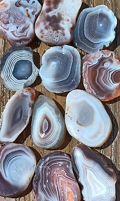 #ad Botswana agate rough slices beautiful banding bands tubes lapidary focal stone 1 $25.00
