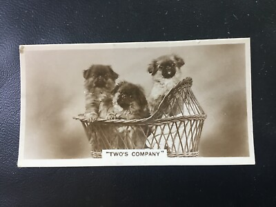ICOLLECTZONE De Reszke J. Millhoff Cigarette Card Dog “Two’s Company” E700 $4.76