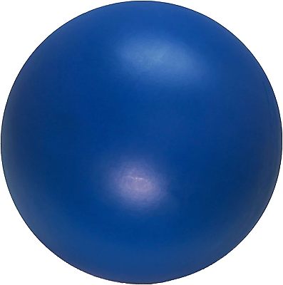 #ad Virtually Indestructible Best Ball For Dogs 10inch Dogs Who Love Pushing Herding $23.65