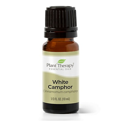 #ad Plant Therapy White Camphor Essential Oil 100% Pure Undiluted Natural $14.99