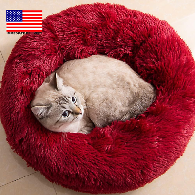 #ad Cat Beds for Indoor Cats Cat Bed Washable 20 24 Inches Dog Beds for Small Med $20.64