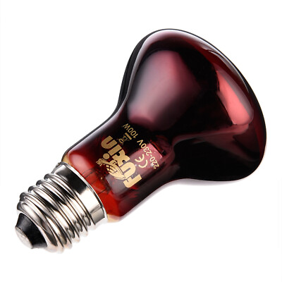 #ad Reptile Lamp Fixture Heat Lighting Lamp Insulation E27 Red Light 60 75 100W $11.33