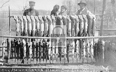 #ad Spear Fishing Men Catch Blue Dog Lake Waubay South Dakota SD Reprint Postcard $4.99