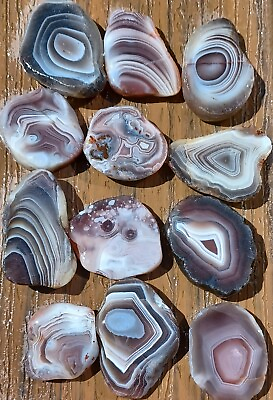 #ad Botswana agate rough slices beautiful banding bands tubes lapidary focal stone 6 $25.00