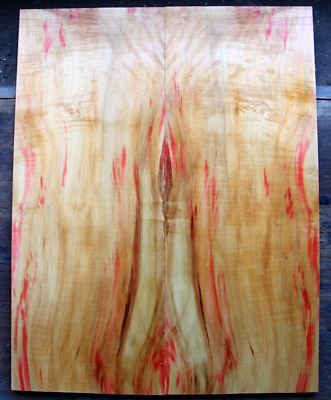 #ad Curly red flame box elder maple drop top .32quot; thk bass guitar tonewood 2379 $69.99
