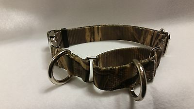 Martingale Dog Collar Combination 2 D Ring Training Walking Or Tie Out 3 Size $14.95