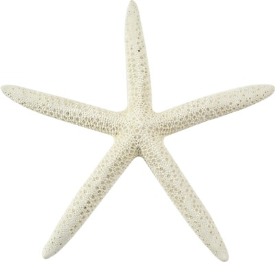 #ad 12 White Finger Starfish Sea Stars Small 3 4quot; Set of 12 $24.99