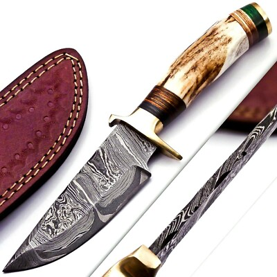 #ad CUSTOM HAND FORGED DAMASCUS STEEL HUNTING KNIFE W Stag Handle Brass Guard $19.99