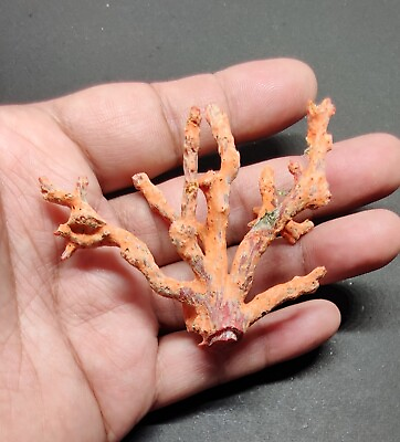 #ad BIG SIZE CORAL TREE 64 CT Natural Italian Red Coral Loose Branch Stick Gemstone. $115.99