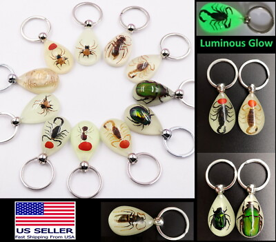 #ad Luminous Real Insect Bug Beetle Glowing Keychain Glow in Dark Tear Drop Shape $6.99