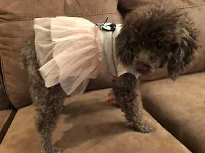 #ad Small breed dog clothes $7.79