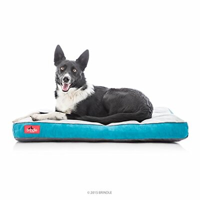 #ad Shredded Memory Foam Dog Bed with Removable 34.0quot;L x 22.0quot;W x 3.0quot;Th Teal $56.63