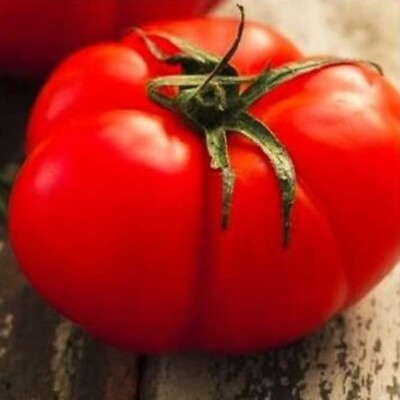 #ad Beefsteak Tomato Seeds NON GMO Heirloom Fresh Vegetable Seeds $2.00