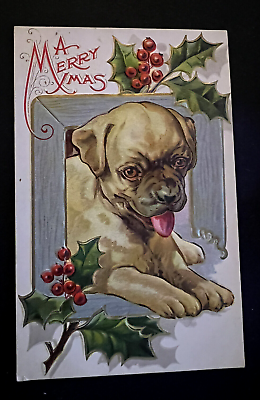 *Cute Puppy Dog with Holly* Vintage Embossed Christmas Postcard d726 $7.97