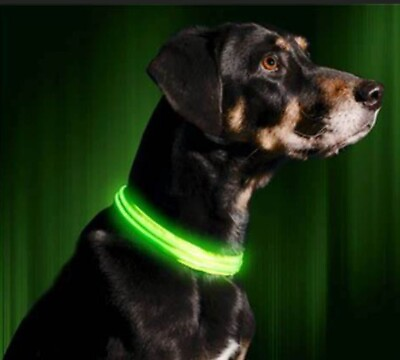 #ad Led Light up Dog Collar Different Color and Different Size $11.99