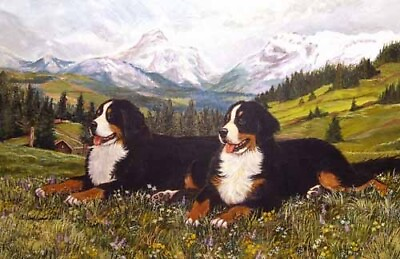 #ad Bernese Mountain Dogs Wildflowers in the Mountains $68.00