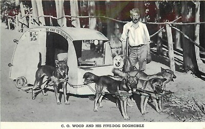 #ad Vintage Postcard; C.O. Wood amp; his Five Dog Dogmobile German Shepherds amp; Husky $11.29