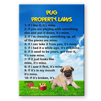 #ad PUG Property Laws FRIDGE MAGNET No 3 Puppy STEEL CASED Dog $9.99