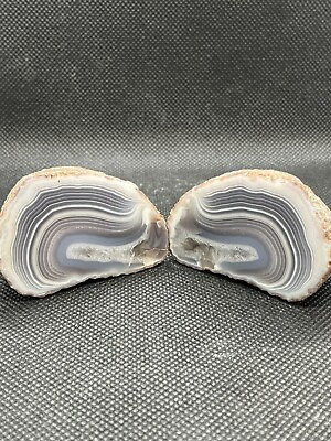 #ad Botswana Agate Pair Nodule Cut And Polished AA Perfect Quality $52.00
