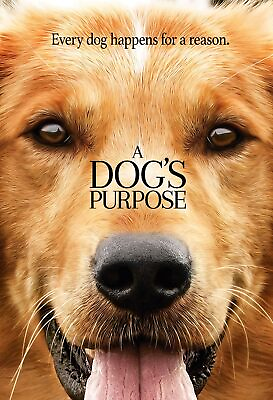 #ad A Dog#x27;s Purpose DVD Good W Case $3.75