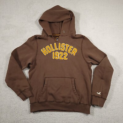 #ad Vintage Hollister Hoodie Mens Large Brown Y2K Heavyweight Embroidered Spellout $19.97
