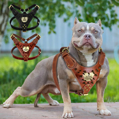 #ad Genuine Leather Dog Harness with Personalized Nameplate Spiked Studded Pitbull $32.99