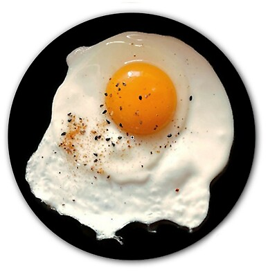 #ad Fried Egg #1 Food Theme 7quot; inch Slipmat Portablism Turntable Slip Mat DJ x1 $11.99