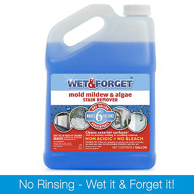 #ad Wet amp; Forget Outdoor Mold Mildew and Algae Stain Remover 128 oz $26.99