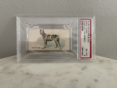 #ad #ad N163 Goodwin Dogs of World 1890 Great Dane PSA Graded EX MT 6 $130.00
