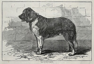#ad Dog St. Saint Bernard Guard Dog Large 1870s French Antique Print $39.95