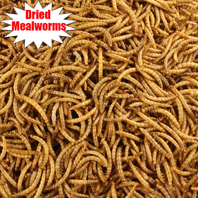 Wholesale Bulk Dried Mealworms for Wild Birds Food Blue Bird Chickens Hen Treats $33.98