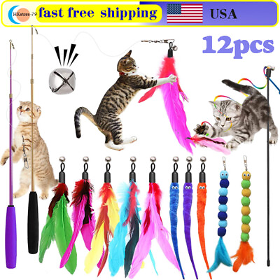 #ad Pet Cat Toys Interactive Teaser Funny Bell Play Kitten Wand Crazy Kitty 12pc Toy $13.95