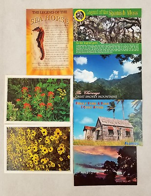 #ad Nature Post Cards Sea Horse Sunset Spanish Moss Mountains Flowers Fast Ship $9.49