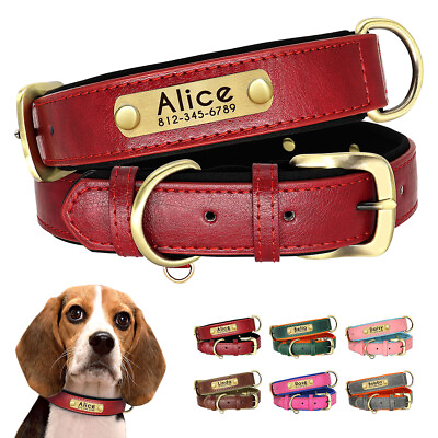#ad Personalized Leather Padded Dog Collar Custom Name Engraved for Small Large Dogs $9.99