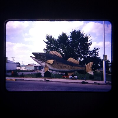 #ad VTG 35mm Slide Found Photo Willie Walleye Fish Statue Baudette Minnesota 1969 $10.75