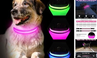 #ad Light Up Dog Collar Glow Dog Collar RechargeableSuper Bright Medium Pink $21.38