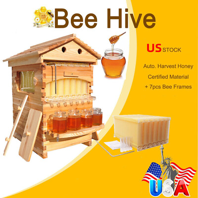#ad Auto Flow Full Set 7PCS Beehive Honey Hive Frame Cedarwood Beekeeping Brood Box $196.99