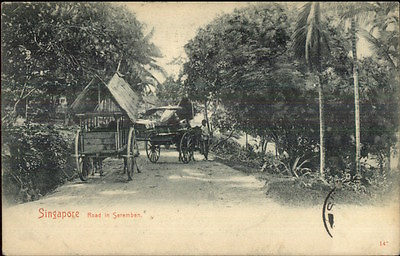 #ad Singapore Road in Seremben c1910 Postcard $4.15