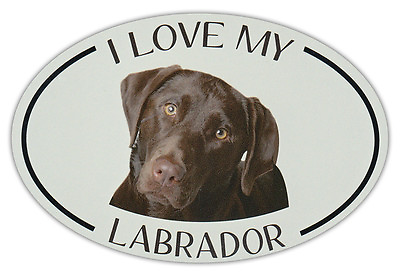 #ad Oval Dog Breed Picture Car Magnet I Love My Labrador Chocolate Lab $7.49