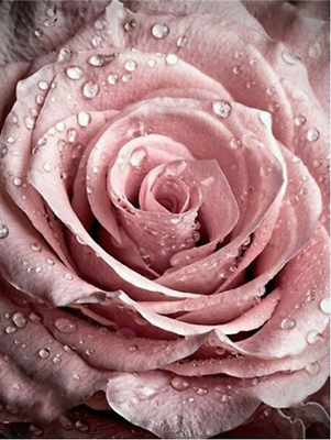 #ad Pink Rose Diamond Painting Kit 5D Full Diamond Painting by Numbers Flower Diam $9.99