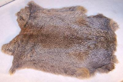 #ad BUY 1 GET 1 FREE NATURAL GREY GENUINE RABBIT SKIN hide fur pelt skins bunny $11.43