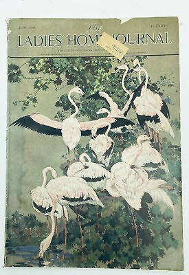 #ad Antique The Ladies Home Journal June 1916 Amazing Advertisements 16.5quot;x11.5quot; $26.94