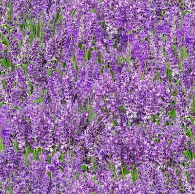 #ad Landscape Medley Fabric Elizabeth#x27;s Studio Lavender Floral By the Yard $10.98