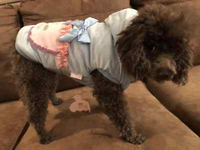 #ad Small breed dog clothes $9.79