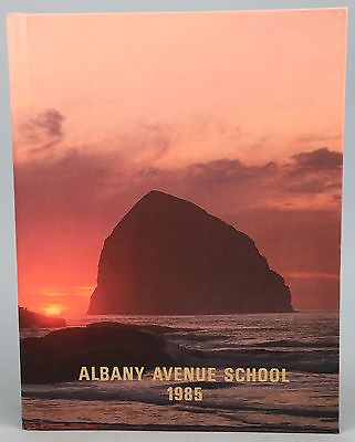 #ad 1985 Albany Avenue School Yearbook North Massapequa LI NY $17.99