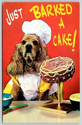#ad Dog Cake Comic Just Barked A Cake Postcard UNP VTG Plastichrome Unused Vintage $7.99
